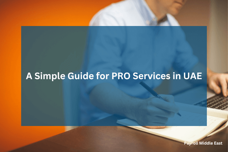 PRO Services in UAE