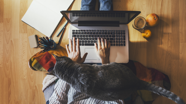 Working from home? What you can and can’t claim as an expense