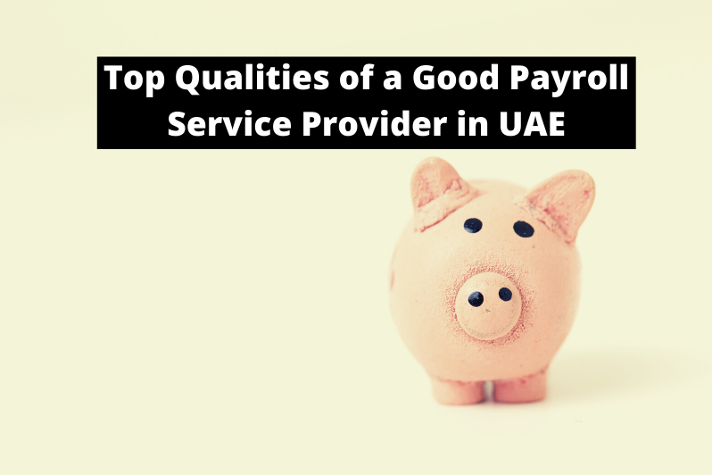 How to Choose The Best Payroll Service Provider in Dubai?