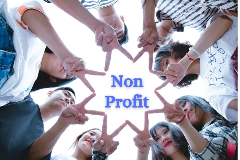 payroll for non profit